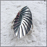 Handgemaakte zilveren ring La cebra van flamencosieraden.nl