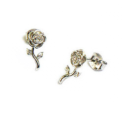 Oorstekers Zilver