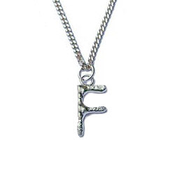 Zilveren hanger Pura F